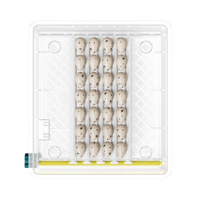 Инкубатор автоматический EggNest, 16 яиц-2